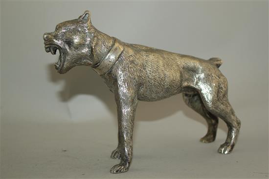 A silvered bronze figure of a growling mastiff, 8.5in.